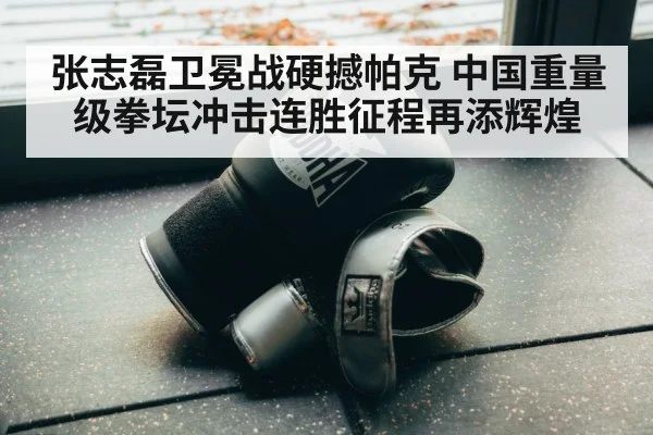 boxing training gloves