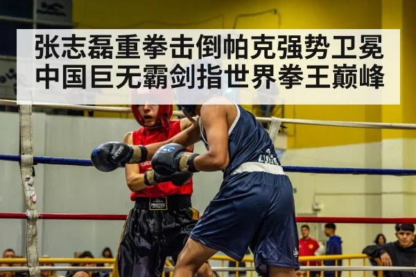boxing match ring